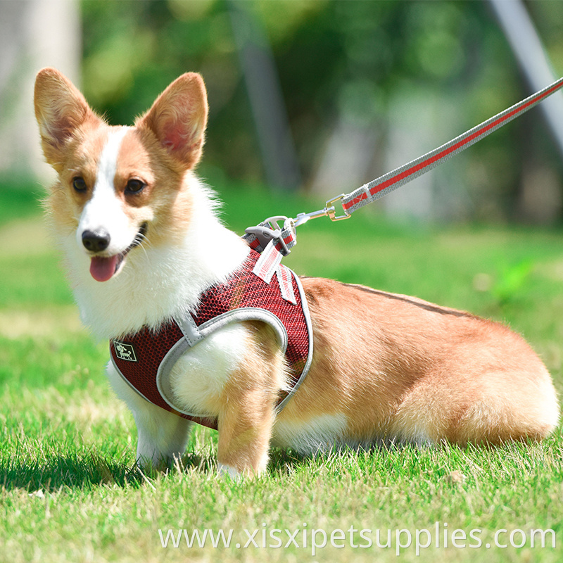 Wholesale Dog Adjustable Harness Polyester Back Clip Dog Harness